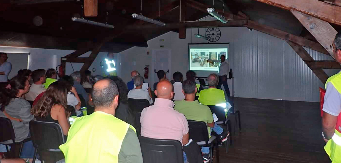 Fotografia 3 - visita à Ponte Edgar Cardoso