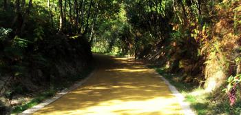 Ecopista do Tâmega Foto