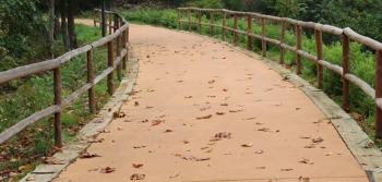 Ecopista do Tâmega