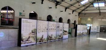 Imagem Exposição na Estação ferroviária do Rossio sobre a preservação do lince-ibérico